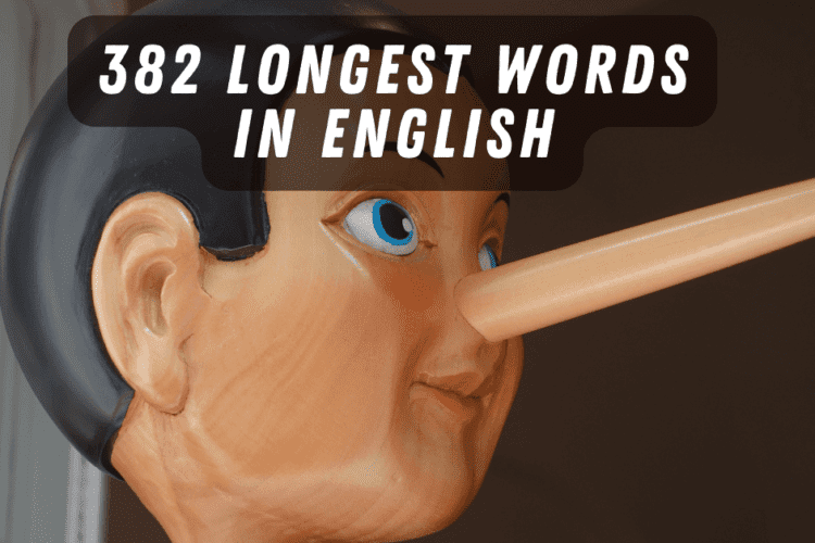 382 Longest Word In English: The Ultimate Guide To The Longest Words In ...